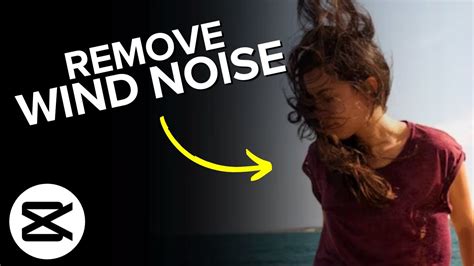 how to remove wind noise from video on capcut