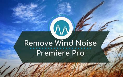 how to remove wind noise in video