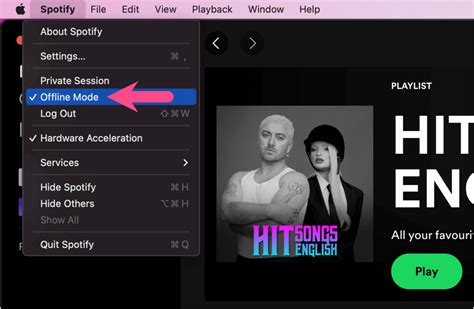 how to remove your spotify from offline mode