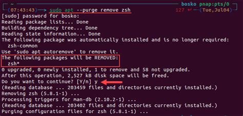 how to remove zsh from terminal
