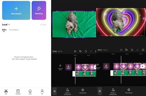 how to replace a video background in capcut