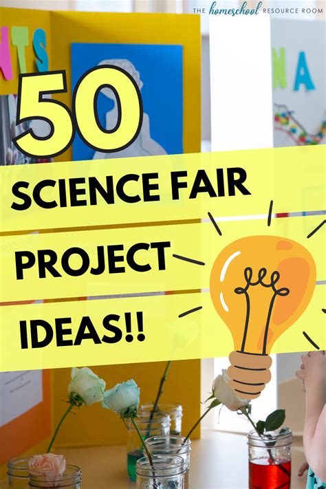 how to represent a science project