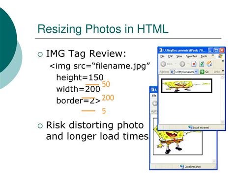 how to resize an image in html with percentage