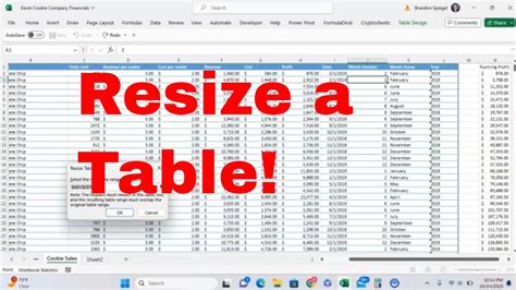 how to resize excel table in word
