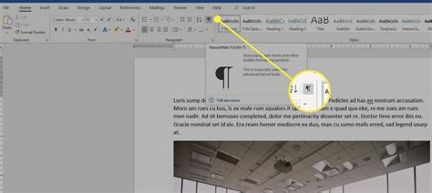 how to reveal codes in word