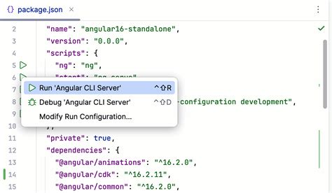 how to run angular project in intellij idea