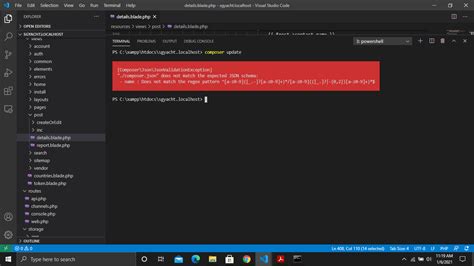 how to run laravel project in terminal