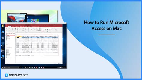 how to run microsoft applications on mac