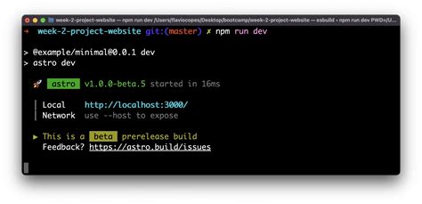how to run npm project in visual studio code