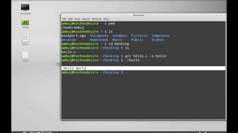 how to run program in linux mint
