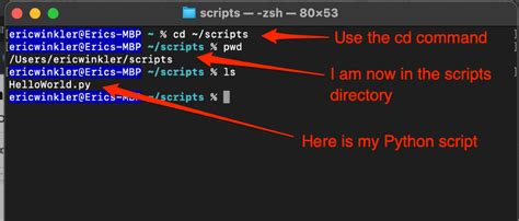 how to run python script line by line in vs code