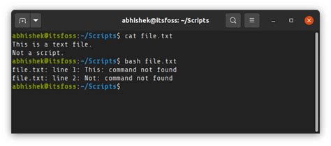 how to run shell script code in terminal