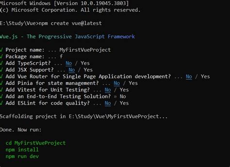 how to run vue project in terminal