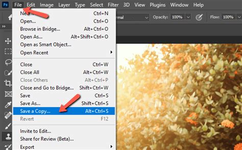 how to save image from photoshop to lightroom