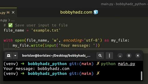 how to save user input to a text file in python