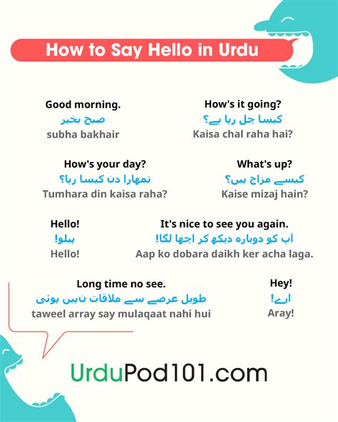how to say hello in urdu in english letters