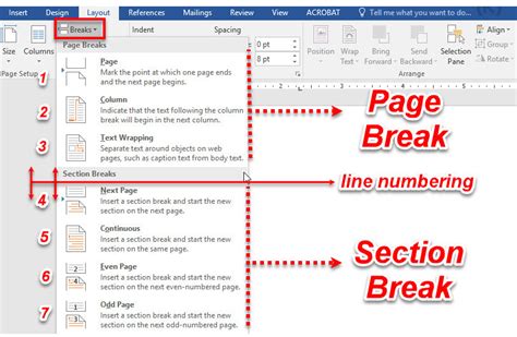 how to section break in word document