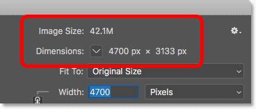 how to see actual size of image in photoshop
