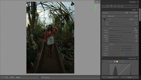 how to see before and after in lightroom mac