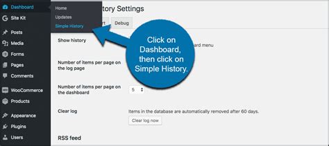 how to see edit history in wordpress