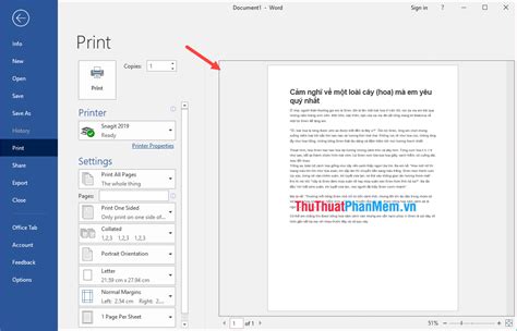 how to see print view in word
