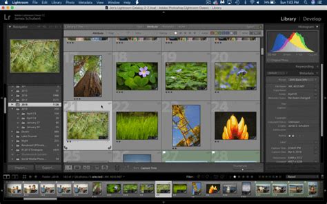 how to select all photos in lightroom to export