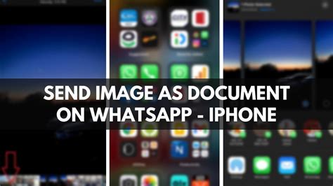 how to send document from whatsapp to email in iphone