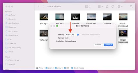 how to separate audio from video apple