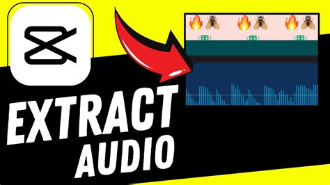 how to separate audio from video capcut mac
