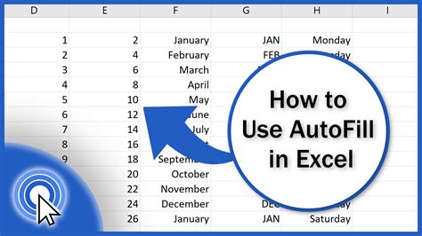 how to set auto fill option in excel