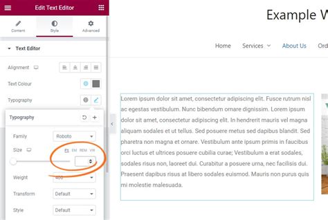 how to set font in elementor
