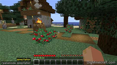 how to set gamemode spectator in minecraft