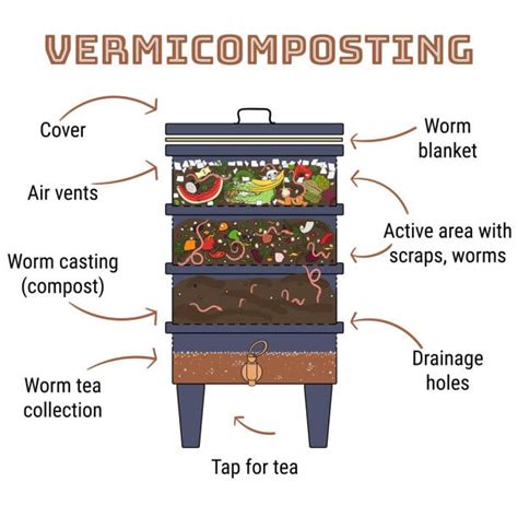 how to set up a compost bin with worms
