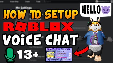 how to set up a voice chat in roblox
