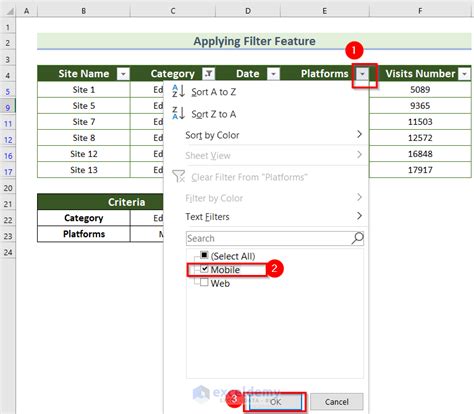 how to set up two filters in excel