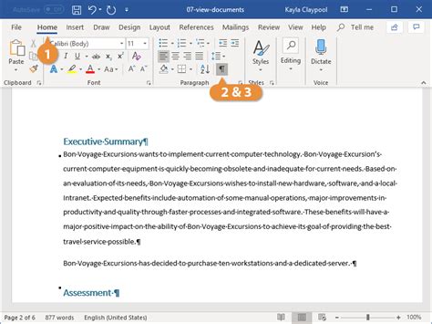 how to show formatting in word doc
