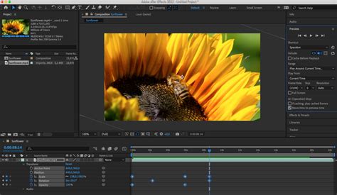 how to show keyframes after effects