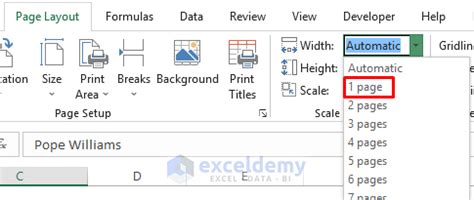 how to show one page in excel
