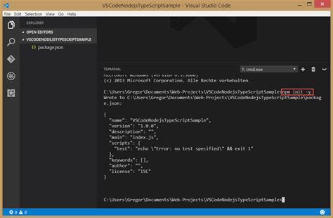 how to start npm server in visual studio code