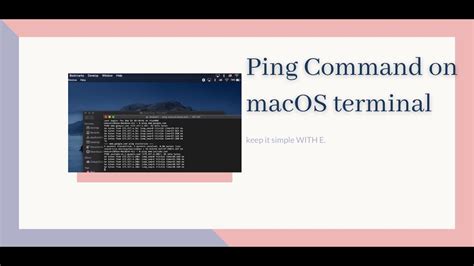 how to stop ping on macbook terminal