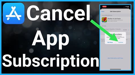 how to stop subscriptions on apps