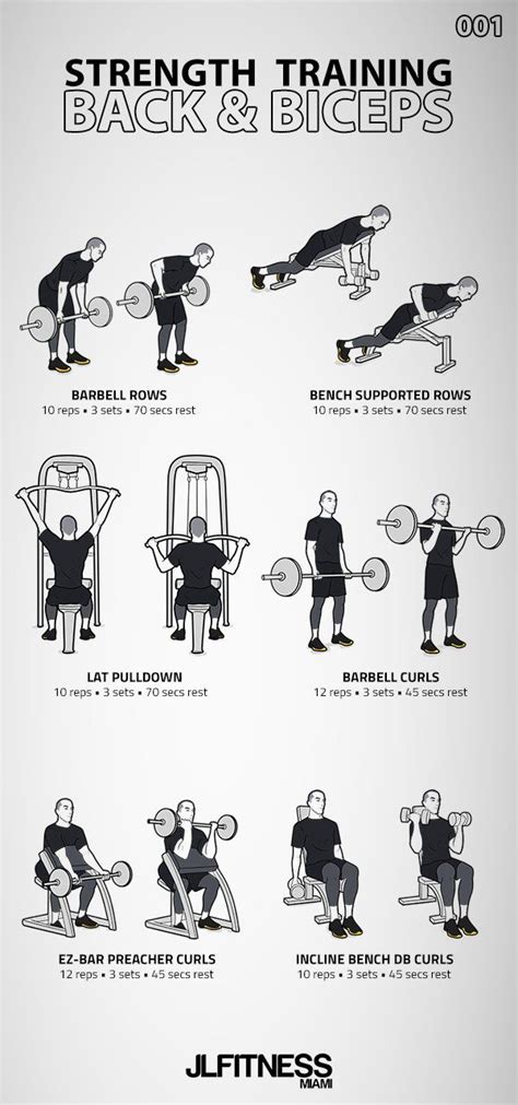 how to structure a back and bicep workout