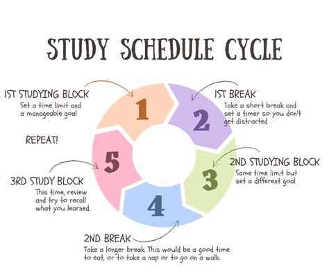 how to structure a study day
