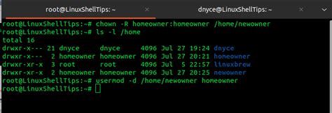 how to switch to home directory in linux