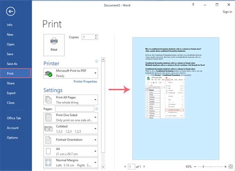 how to take colour print out in word