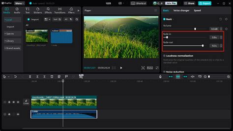 how to take out audio in capcut