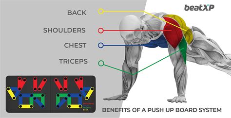 how to target back with push ups