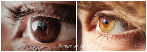 how to tell if your eyes are amber or brown