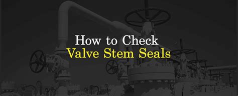 how to test if valve stem seals are leaking