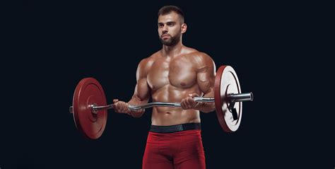 how to train long head bicep